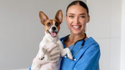 Pet Health Emergencies: Coping Strategies and Support Resources