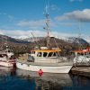 When Is the Best Time to Book a Fishing Charter