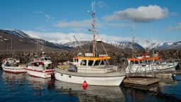 When Is the Best Time to Book a Fishing Charter